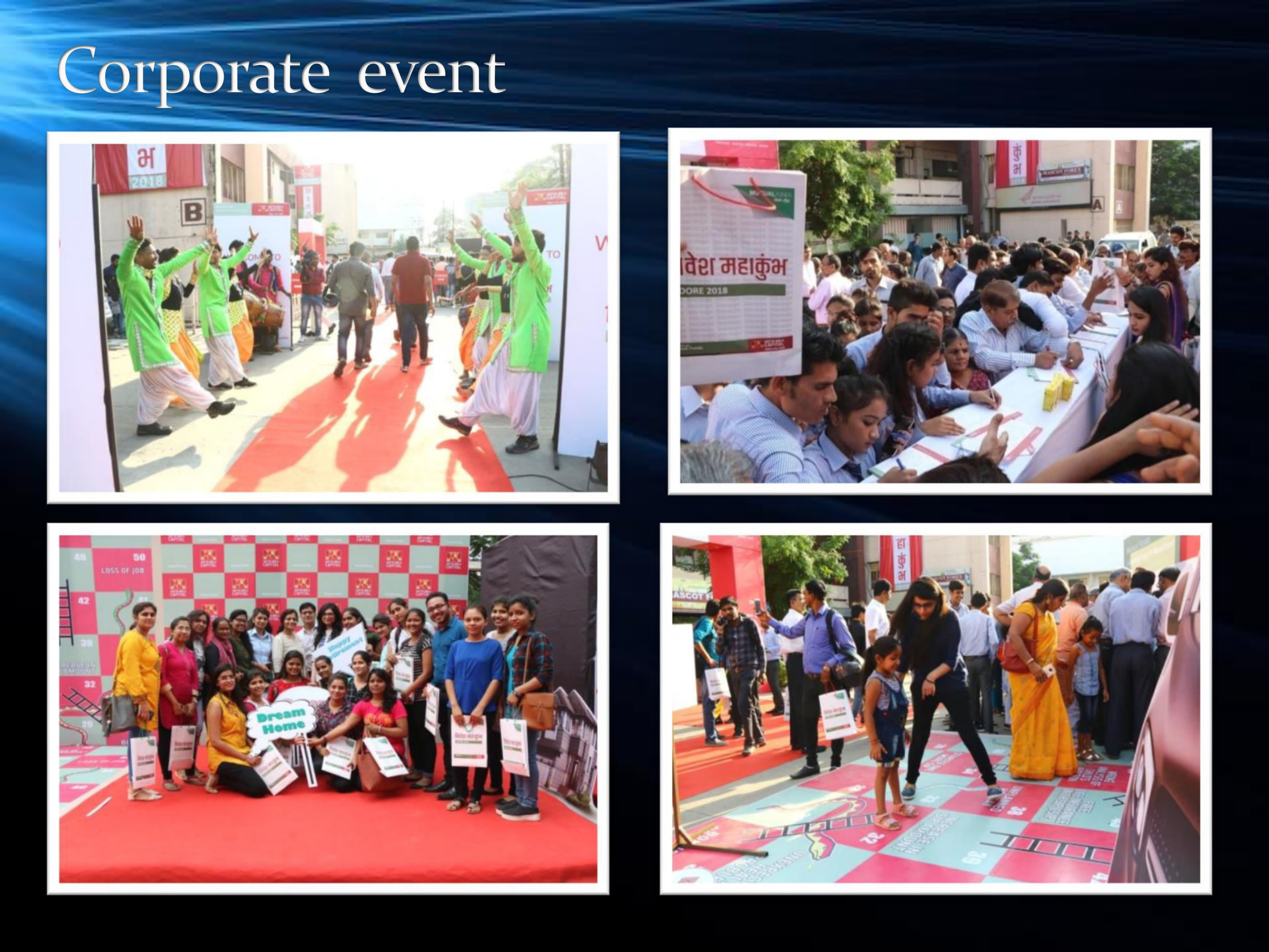 Aditya Birla Capital Investor Meet — Madrox event